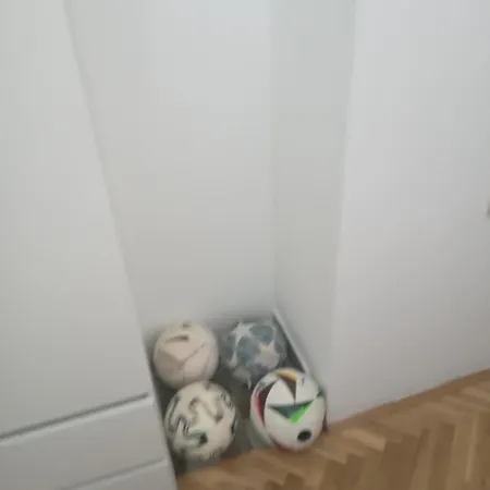 Zam 2025 Daire Ivisovo Greblje